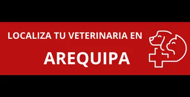 veterinarias-en-Arequipa-1