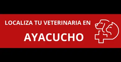 veterinarias-en-Ayacucho