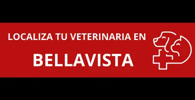 veterinarias-en-Bellavista