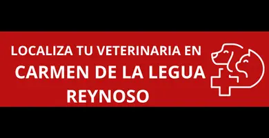 veterinarias-en-Carmen-de-la-Legua-Reynoso