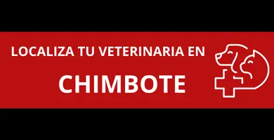 veterinarias-en-Chimbote