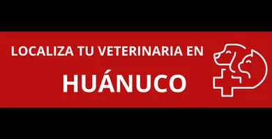 veterinarias-en-Huanuco