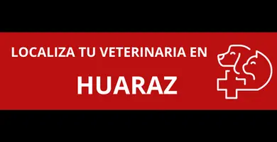 veterinarias-en-Huaraz