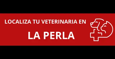 veterinarias-en-La-Perla