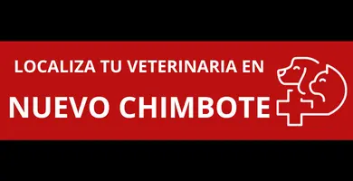 veterinarias-en-Nuevo-Chimbote