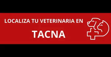 veterinarias-en-Tacna