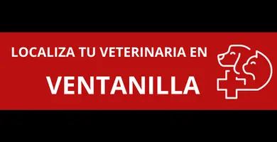 veterinarias-en-Ventanilla