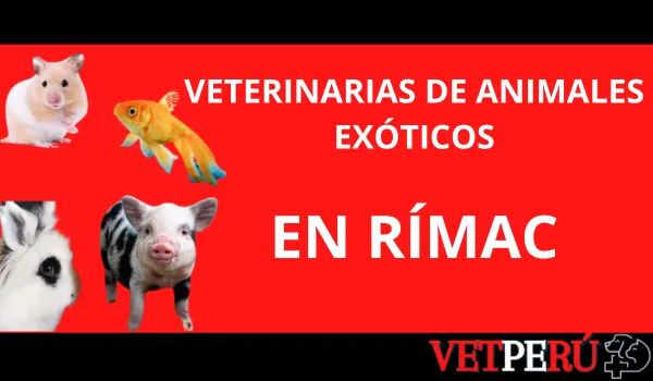 veterinarias-animales-exoticos-rimac