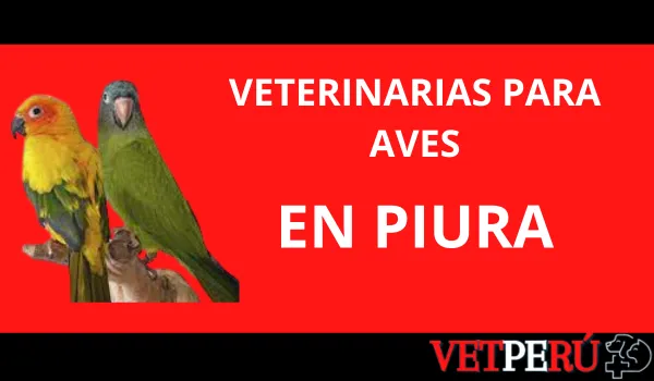 Veterinarias para Aves en Piura