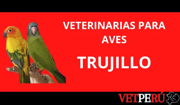 Veterinarias para Aves en Trujillo