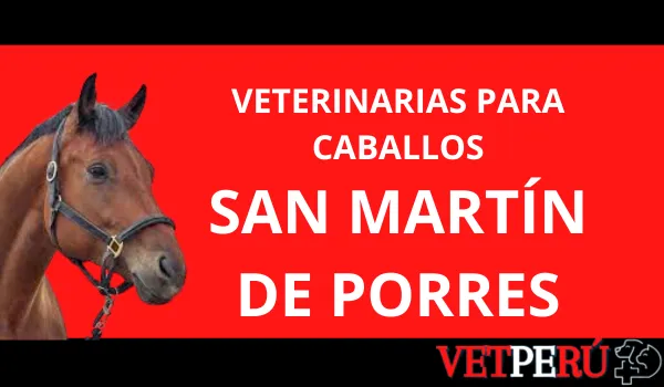 Veterinarias para Caballos en San Martín de Porres