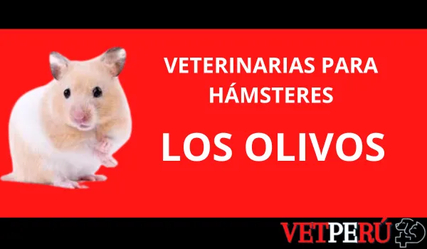 Veterinarias para Hámsteres en Los Olivos