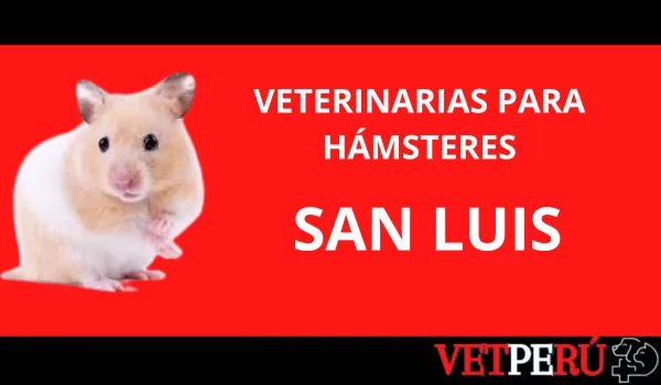 Veterinarias para Hámsteres en San Luis, San Luis