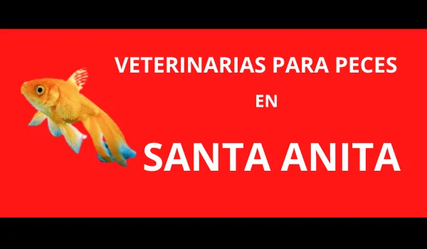 Veterinarias para Peces en Santa Anita