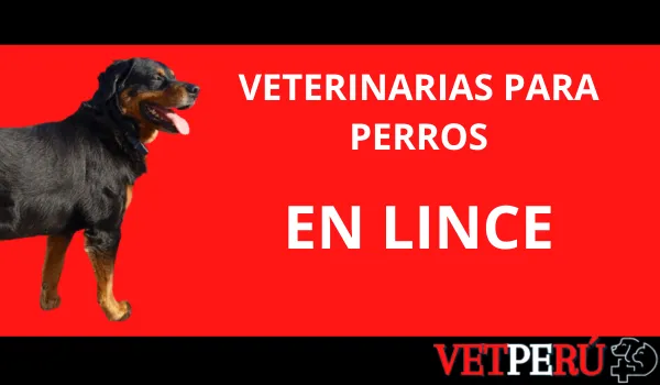 Veterinarias para Perros en Lince