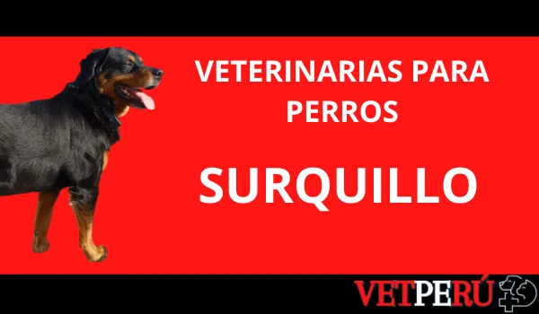 Veterinarias para Perros en Surquillo