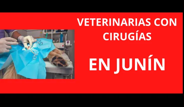 Veterinarias con Cirugías en Junín