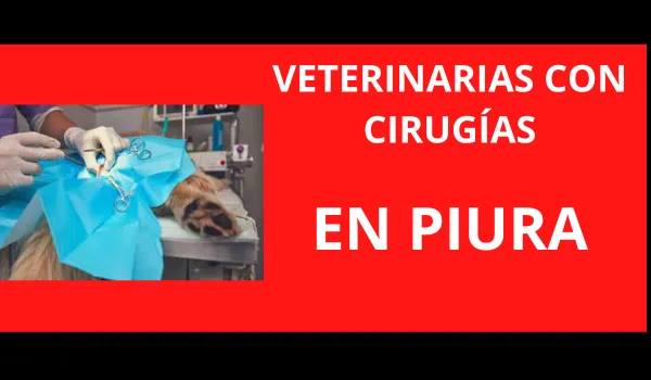 Veterinarias con Cirugías en Piura