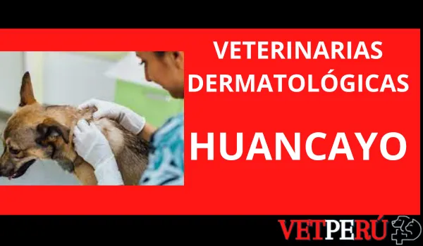 Veterinarias Dermatológicas en Huancayo