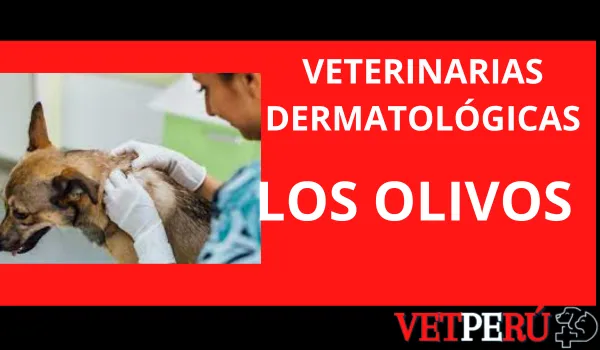 Veterinarias Dermatológicas en Los Olivos