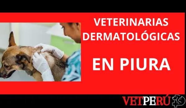 Veterinarias Dermatológicas en Piura