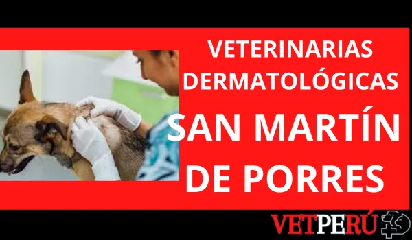 Veterinarias Dermatológicas en San Martin de Porres