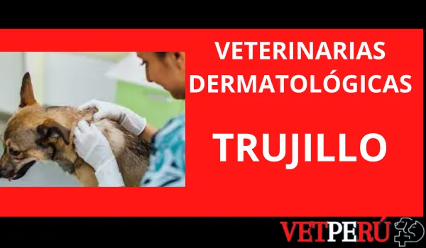 Veterinarias Dermatológicas en Trujillo