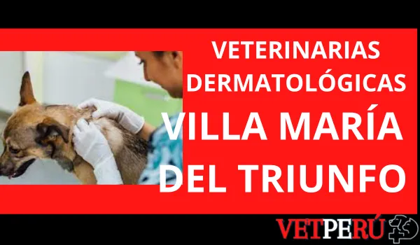 Veterinarias Dermatológicas en Villa María del Triunfo