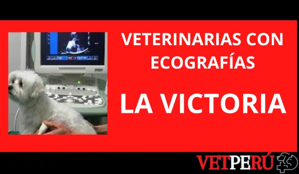 Veterinarias con Ecografías en La Victoria