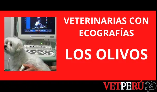 Veterinarias con Ecografías en Los Olivos