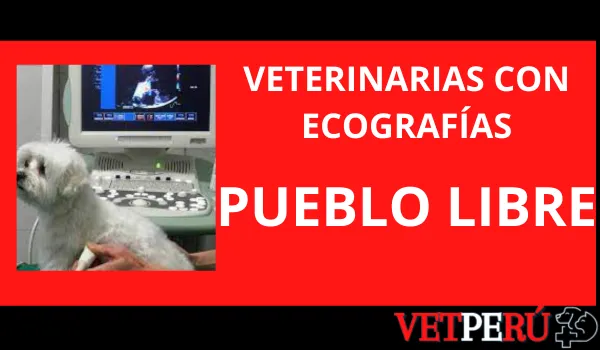 Veterinarias con Ecografías en Pueblo Libre