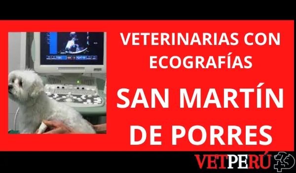 Veterinarias con Ecografías en San Martin de Porres