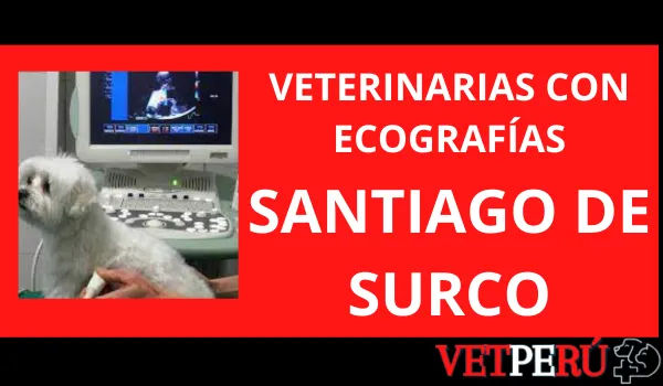 Veterinarias con Ecografías en Santiago de Surco