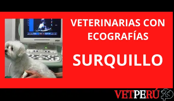 Veterinarias con Ecografías en Surquillo