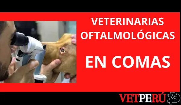 Veterinarias Oftalmológicas en Comas