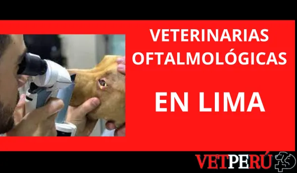 Veterinarias Oftalmológicas en Lima