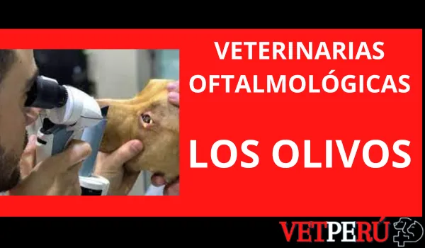 Veterinarias Oftalmológicas en Los Olivos