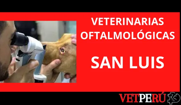 Veterinarias Oftalmológicas en San Luis