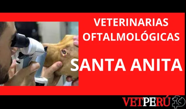 Veterinarias Oftalmológicas en Santa Anita