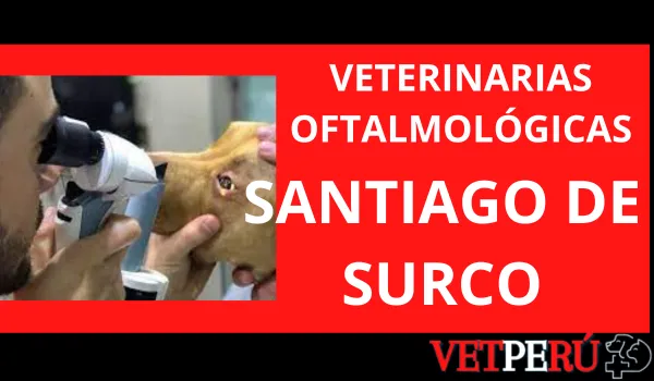 Veterinarias Oftalmológicas en Santiago de Surco