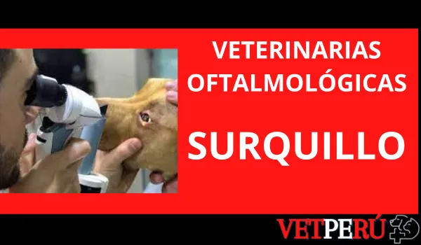 Veterinarias Oftalmológicas en Surquillo