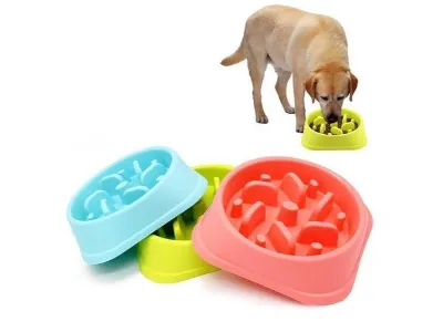 Design4pets Magdalena del Mar