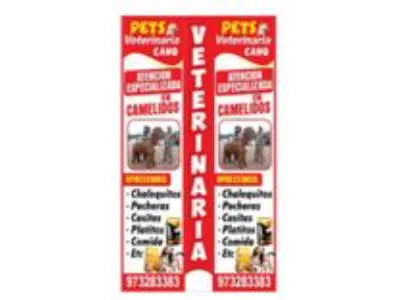Pets veterinaria Cano Puno